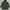 Fila Sportswear Parka Pria green photo 1
