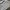 Vintage Grunge Handbag Wanita white gray photo 3