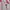 Yonex Sportswear Jersey Wanita pink photo 4