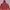 Uniqlo Sportswear Track jacket Wanita red photo 1