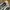 Nike Streetwear Sportswear Sneakers Pria white photo 3