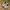Nike Streetwear Sportswear Sneakers Pria white photo 5