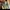 Nike Streetwear Sportswear Sneakers Pria white photo 4