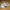 Nike Streetwear Sportswear Sneakers Pria white photo 1