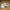 Nike Streetwear Sportswear Sneakers Pria White