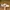 Nike Streetwear Sportswear Sneakers Pria white photo 2