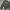 Vintage Casual Harrington jacket Pria gray photo 5