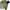 Japanese brand Streetwear Casual Denim jacket Pria green photo 4
