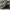 Arc'teryx Streetwear Sportswear Sneakers Pria black photo 1