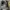 Arc'teryx Streetwear Sportswear Sneakers Pria black photo 7