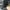 Arc'teryx Streetwear Sportswear Sneakers Pria black photo 6
