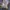 New Balance Sportswear Sneakers Pria purple photo 3