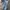 Streetwear Casual Jeans Pria multicolor photo 7