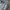 Streetwear Casual Jeans Pria multicolor photo 1
