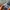 Streetwear Casual Jeans Pria multicolor photo 6