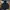 Alpha Industries Streetwear Sportswear Parka Pria multicolor photo 2