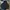 Alpha Industries Streetwear Sportswear Parka Pria multicolor photo 1