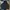 Alpha Industries Streetwear Sportswear Parka Pria Multicolor