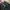Alpha Industries Streetwear Sportswear Parka Pria multicolor photo 3