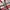 Stussy Streetwear Y2K Varsity jacket Pria white red photo 3