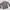 Streetwear Casual Sweatshirt Pria Multicolor Gray
