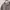 Streetwear Casual Sweatshirt Pria multicolor gray photo 3
