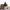 Brth Breath Streetwear Casual Windbreaker Pria Green