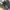Dr. Martens Streetwear Casual Boots Wanita gold photo 6