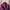 jaket fur rabbit asli warna purple photo 2