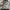 Japanese Brand Streetwear Bomber Jacket Pria White