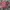 Vintage Streetwear Formal shirt Pria red photo 2
