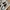Emporio Armani Casual Sneakers Pria Brown Gray