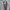 Evisu Casual Sweater Pria gray photo 4