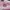 Onitsuka Tiger Casual Sneakers Wanita white pink photo 6
