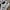 Asics Gorpcore Casual Sneakers Pria white photo 2