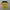 Nike Sportswear Jersey Pria yellow black photo 1