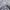 Sportswear Windbreaker Pria navy photo 4