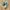 Asics Gorpcore Casual Sneakers Pria gray photo 1
