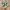 New Balance Casual Sneakers Pria green tan photo 1