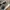 New Balance Casual Sneakers Pria green tan photo 2