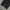 Japanese brand Vintage Jeans Pria black photo 5