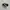 Converse Casual Sneakers Wanita white black photo 1