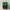 Lee Cooper Streetwear Casual Sandals & slide Pria green photo 5