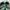Lee Cooper Streetwear Casual Sandals & slide Pria green photo 8