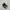 Converse Casual Sneakers Pria white black photo 3