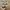 Nike Casual Sneakers Pria white tan photo 4