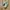 Nike Casual Sneakers Pria white tan photo 1
