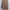 Casual Wanita brown photo 1