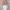 H&M Casual Crop top Wanita multicolor photo 2