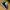 Nike ACG Streetwear Gorpcore Sneakers Pria white black photo 7